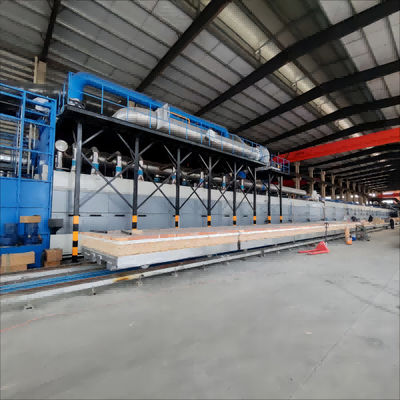 OEM ODM Ontwerp Hoge Temperatuur Droogtunnel Oven Energiebesparing