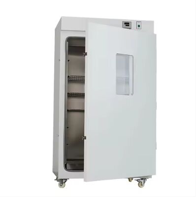 Constant Temperature Heating Vertical Blast Drying Oven Laboratory Thermostatic Devices