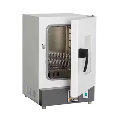 Constant Temperature Heating Vertical Blast Drying Oven Laboratory Thermostatic Devices